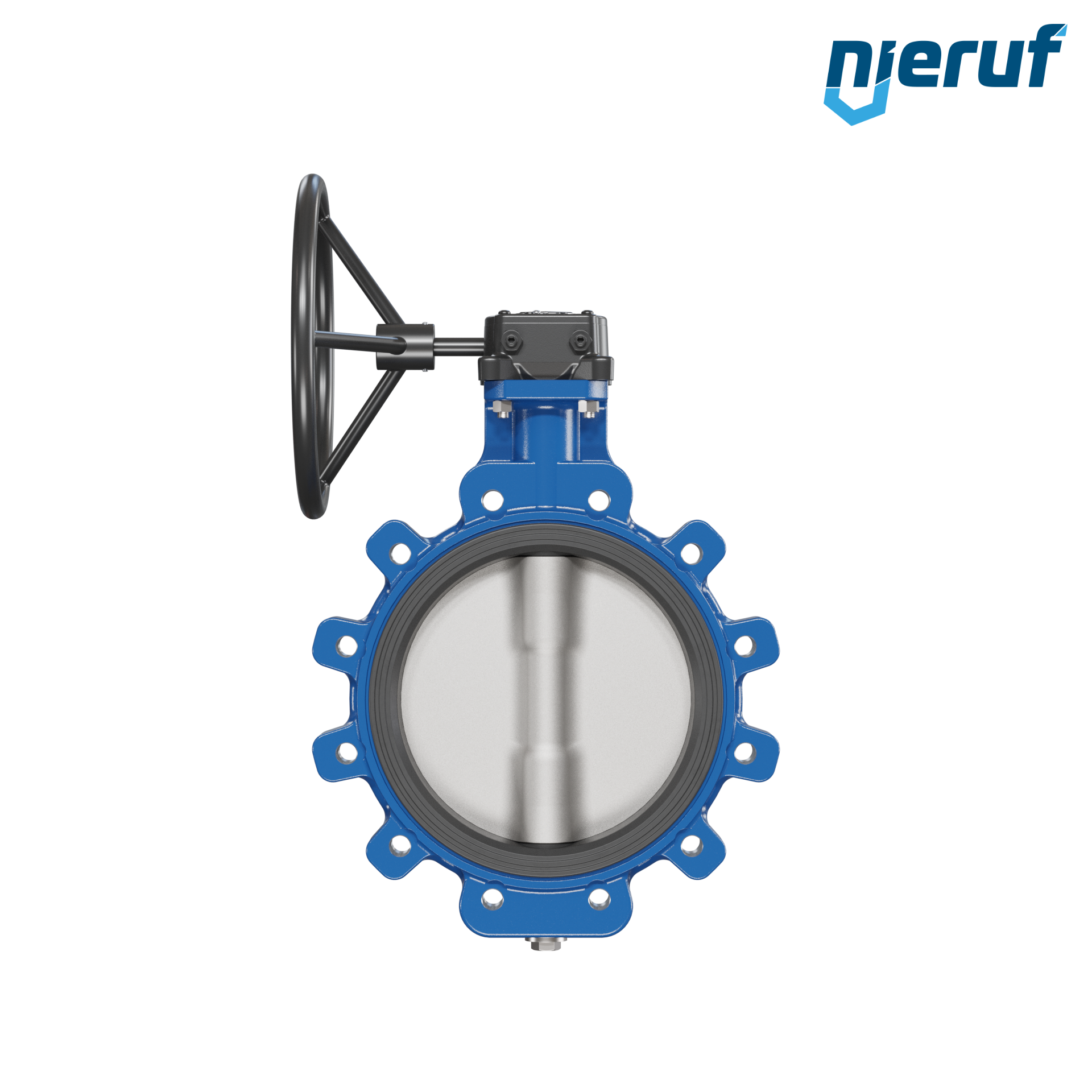 Butterfly valve AK02 DN 250 PN10 FPM Worm gear