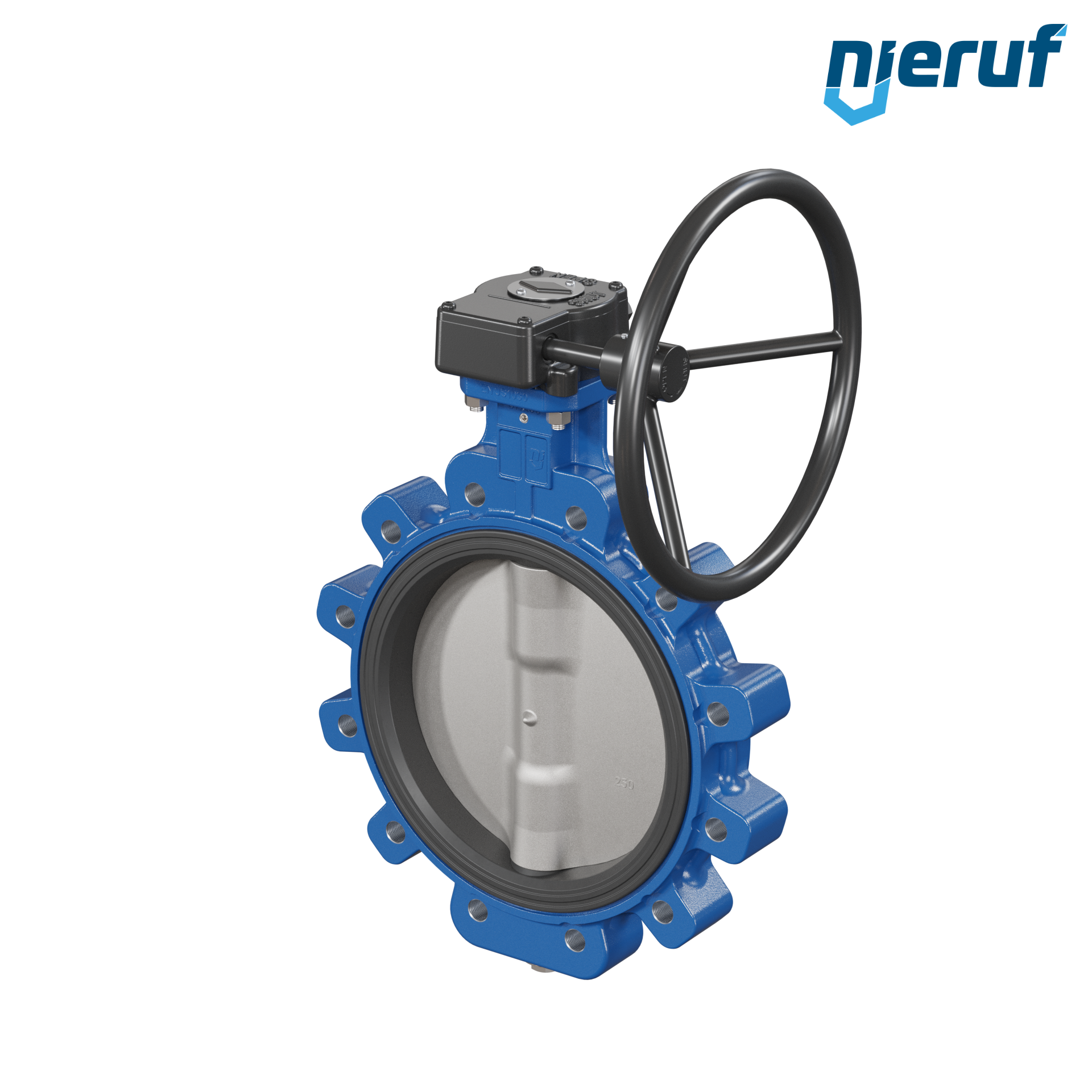 Butterfly valve AK02 DN 250 PN10 FPM Worm gear