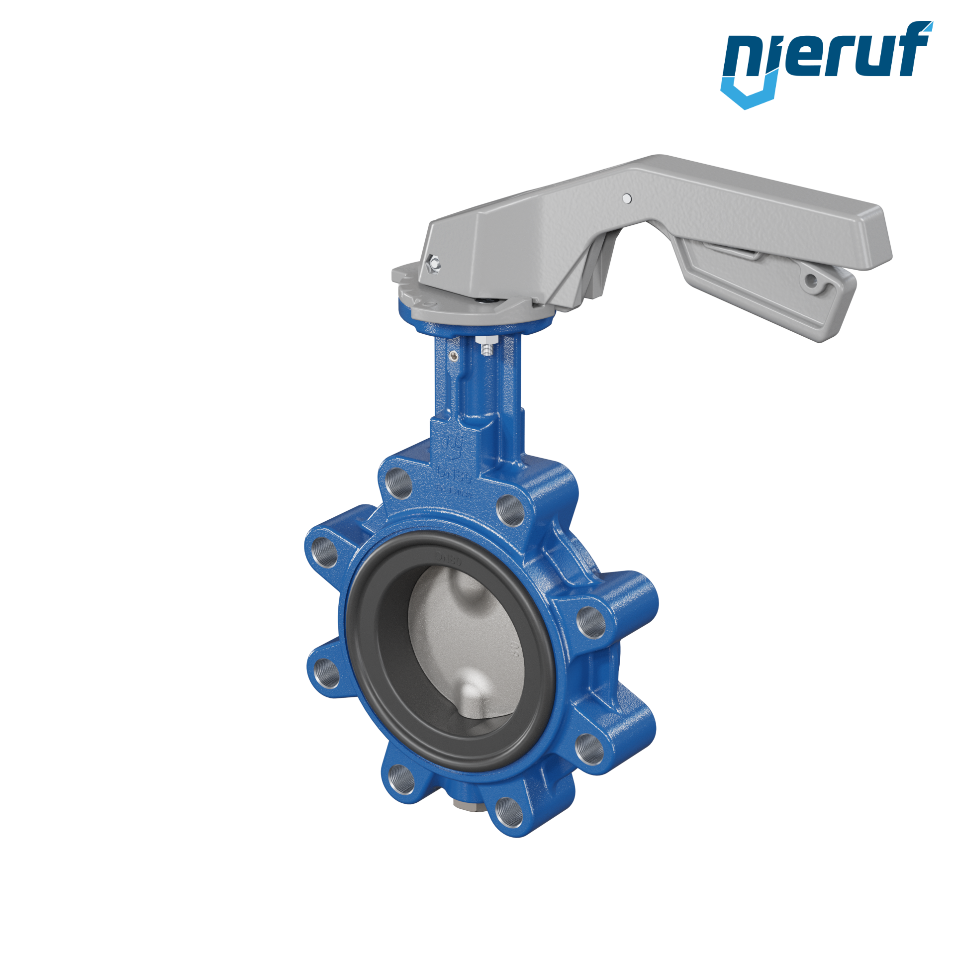 Butterfly valve AK02 DN 80 PN10-PN16 FPM