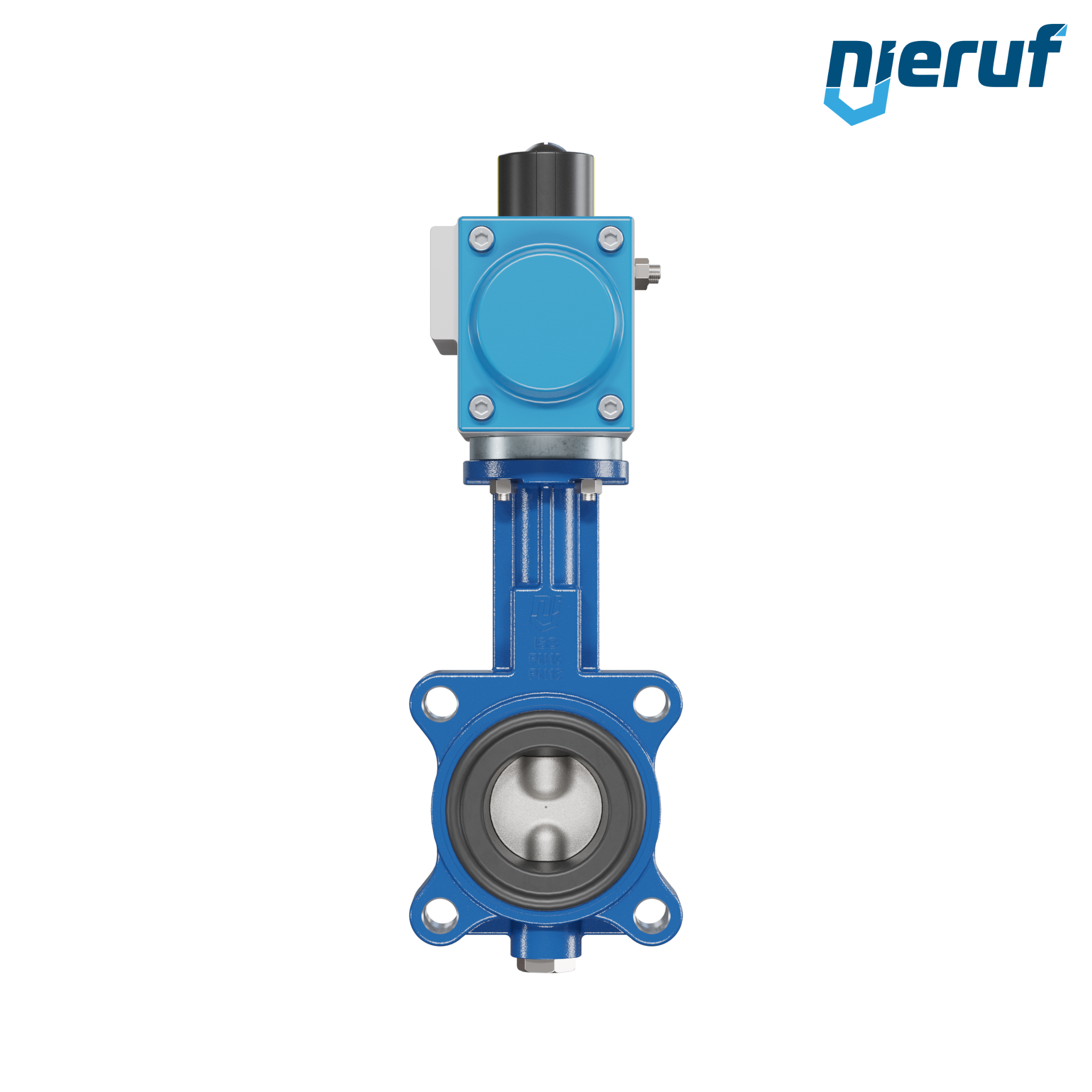 Butterfly valve DN 50 AK02 FPM pneumatic actuator double acting