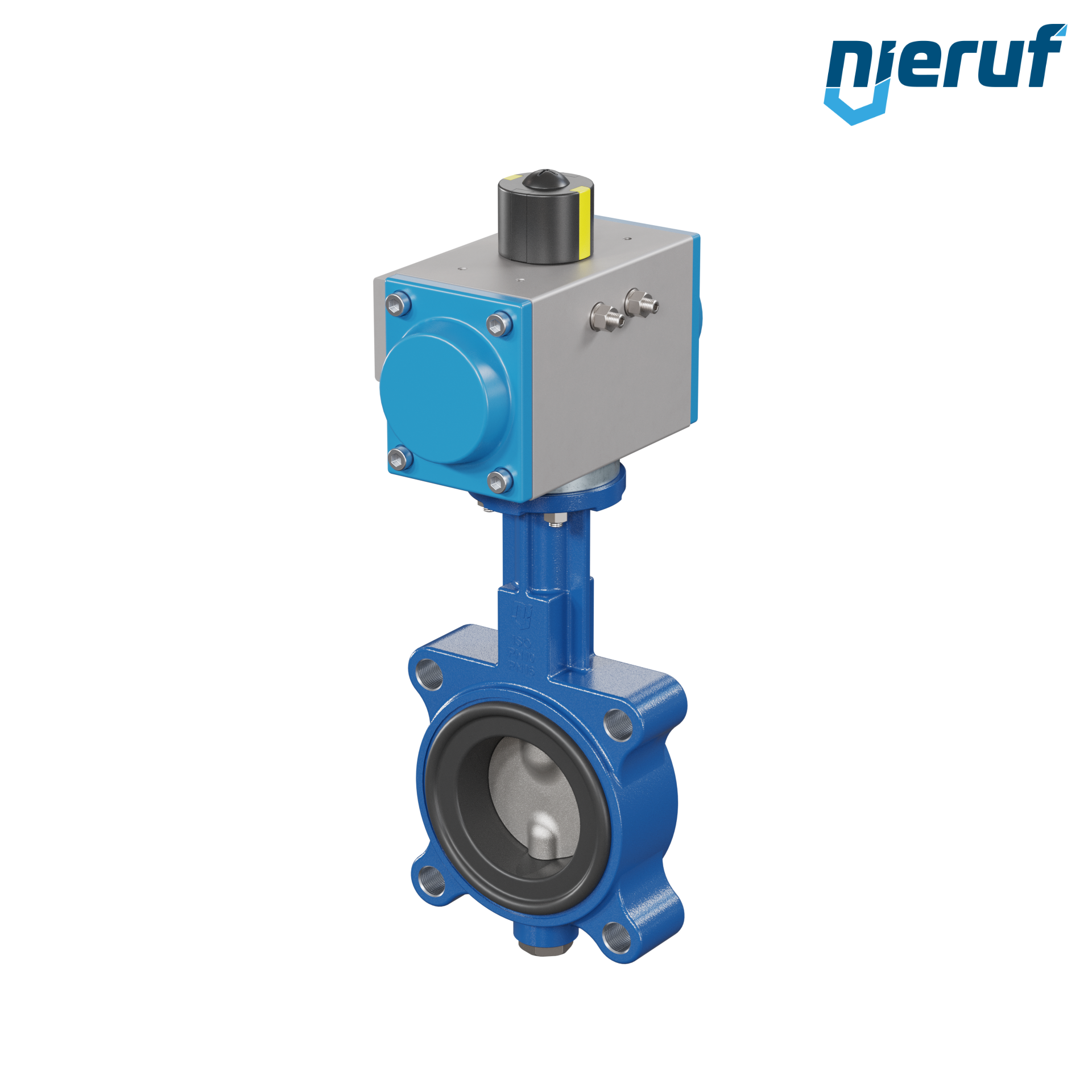 Butterfly valve DN 65 AK02 FPM pneumatic actuator double acting