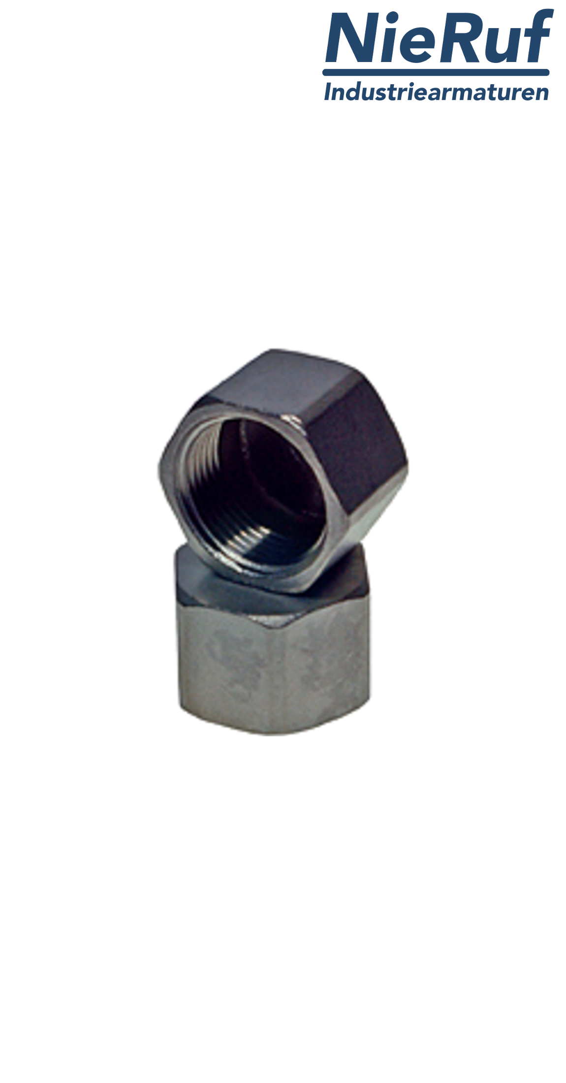 cap 2" inch NPT female stainless steel 316L