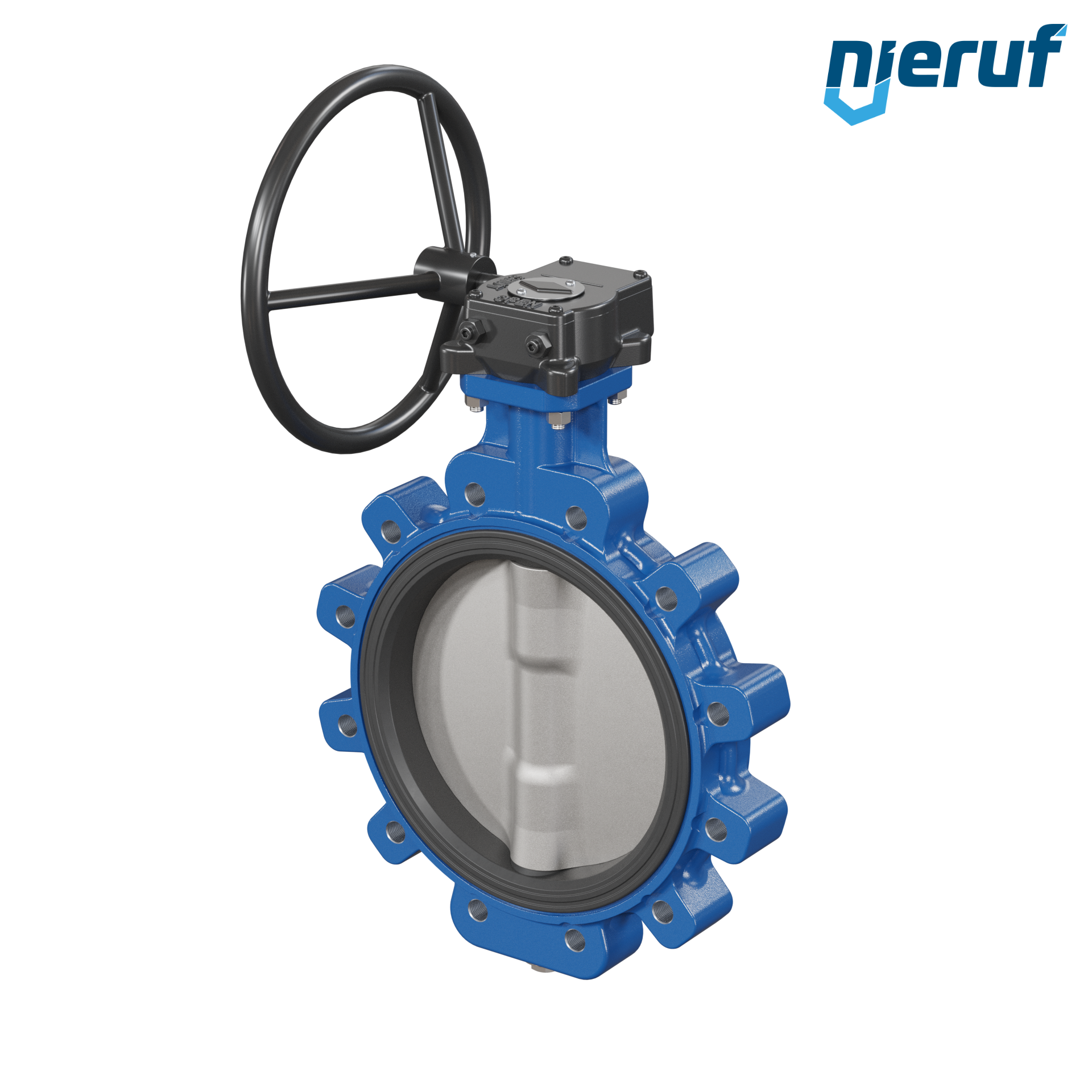 Butterfly valve AK02 DN 250 PN10 FPM Worm gear