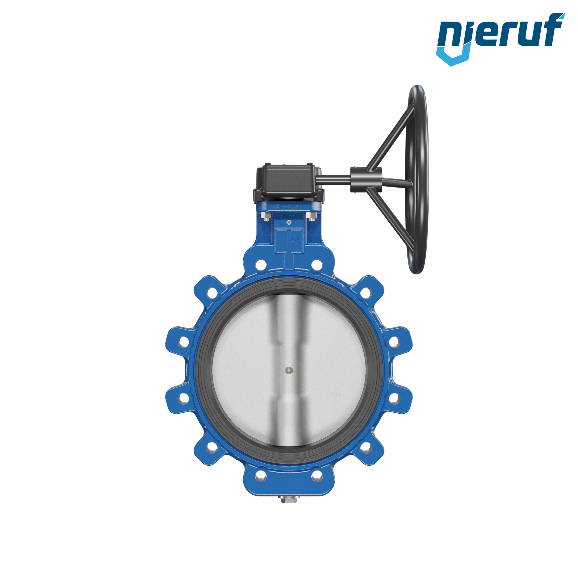 Butterfly valve AK02 DN 250 PN10 FPM Worm gear